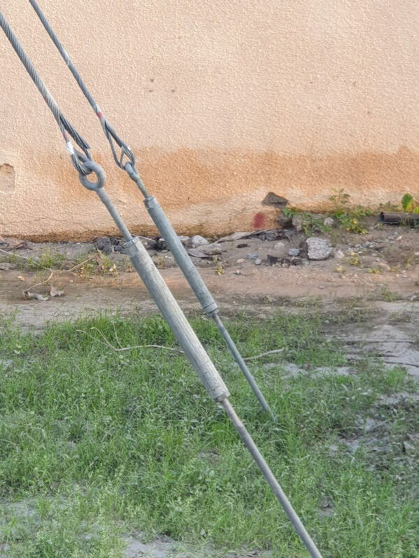 cow standing by guy wire